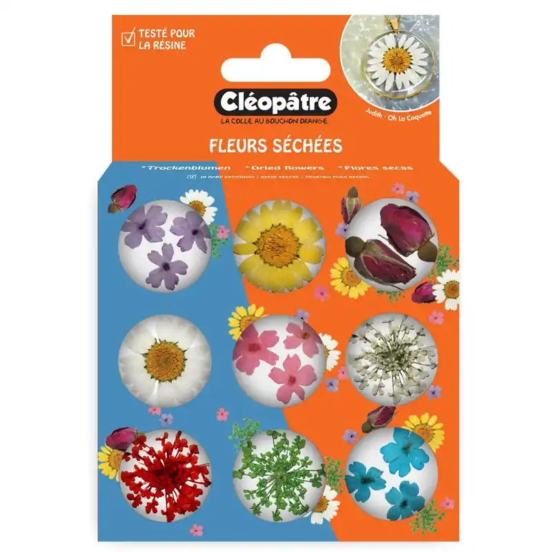 Boite de 9 pots d‘accessoires - Fleurs séchées Prix Cassé
