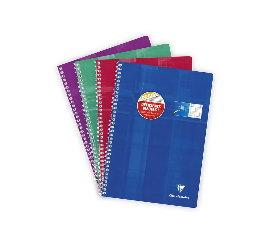 Réduction Cahier reliure intégrale déficients visuels A4-100 pages-90 gr-grands carreaux