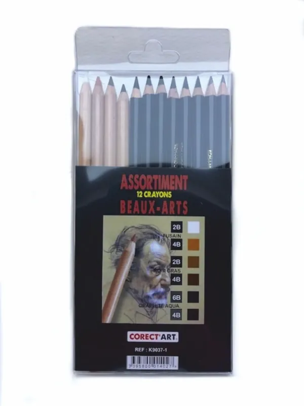 Offre Du Jour Etui de 12 crayons Beaux-Arts - Teintes brunes & noires