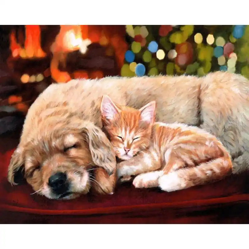 Peinture par numéros - Sieste entre amis - Figured‘Art Meilleur Prix
