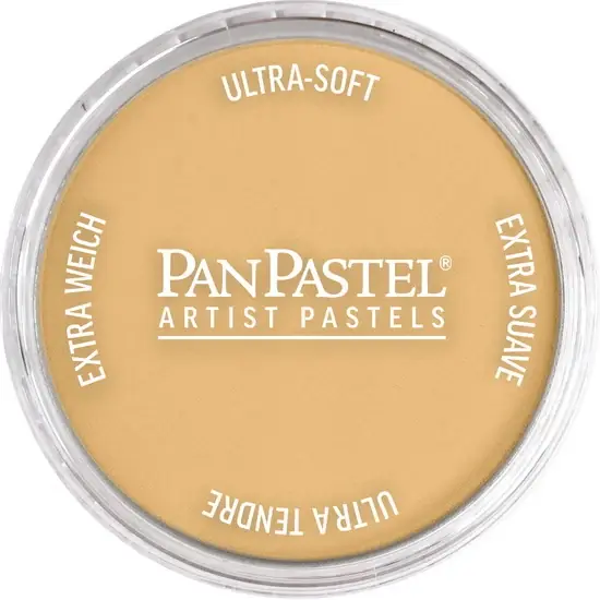 Must-Have Pastel panpastel - 9ml or riche