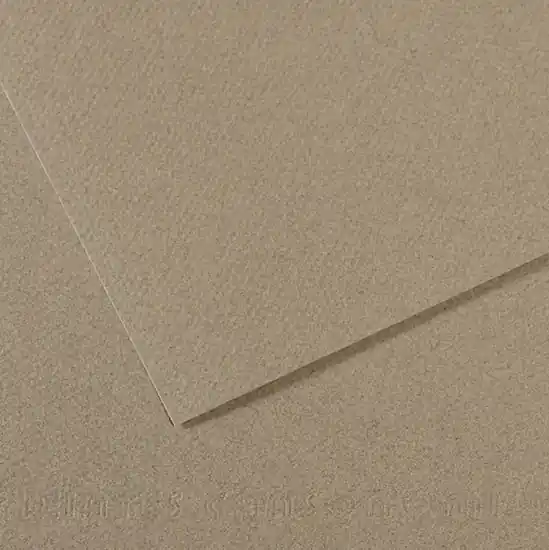 Certifié Papier couleur - 160gsm - mi-teintes - 50x60cm - gris feutre