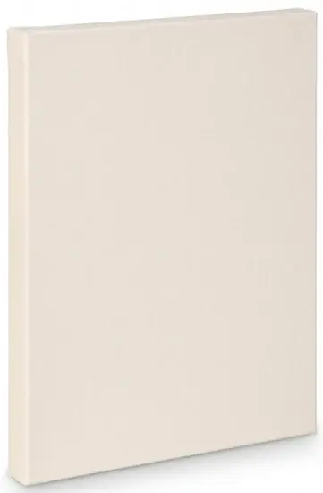 Produit De Marque Toile artiste galerie - 16x20po