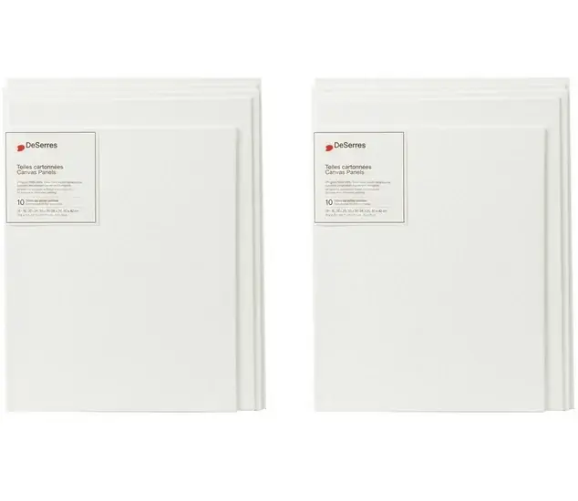 Ens. 10 toiles cartonnées blanches tailles variées (5x7 8x10,9x12,11x14,12x16po) Offre Limitée