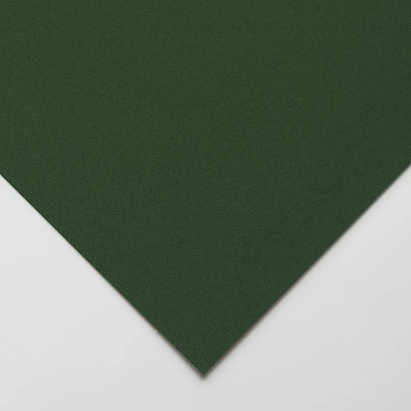 Sennelier Carte à Pastel Sec 360 g/m² 65x50 cm Vert foncé Super Prix