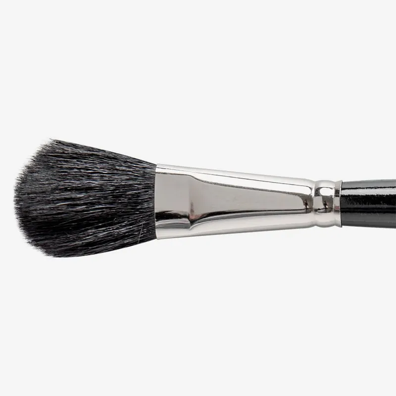 Meilleur Choix Silver Brush Mop ovale noir Série 5619S Taille 3/4"